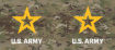 CM-231.png