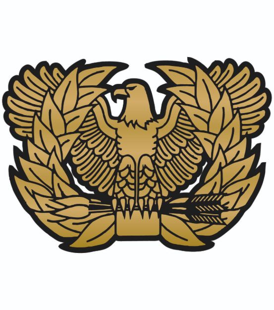 Picture of Mylar Decal - Warrant Officer