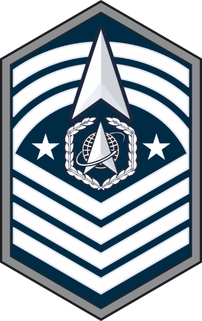 Picture of Mylar Decal - Space Force CMSSF