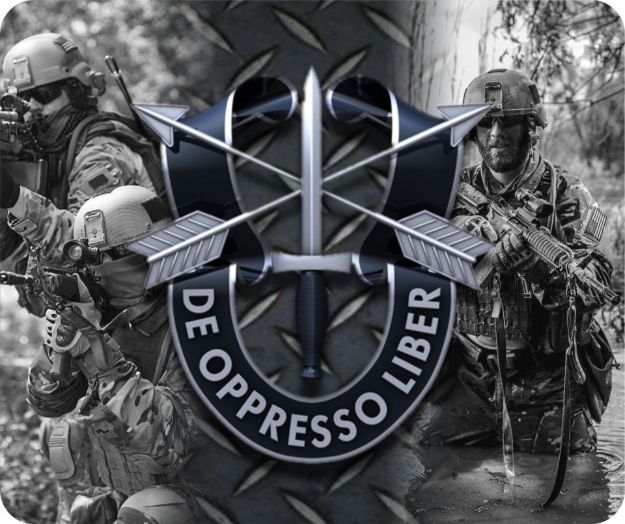 Picture of Special Foces De Oppreso Liber