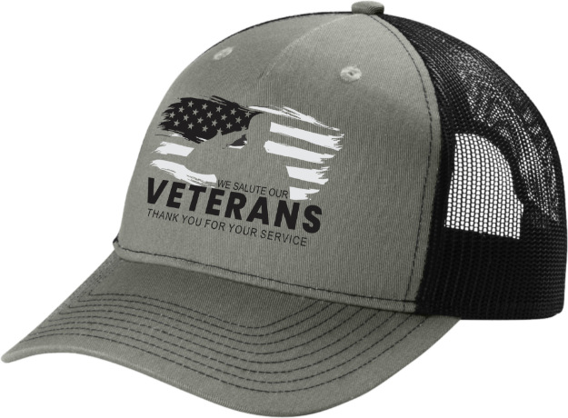 Picture of SALUTE VETERAN