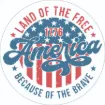 Picture of Die Cut Magnet - America Land Of The Free Because Of The Brave