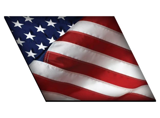 Picture of American Flag