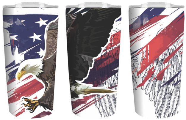 Picture of American Flag With Eagle
