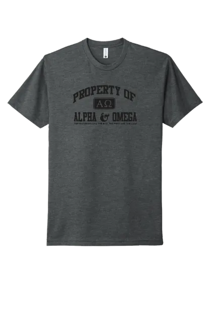 Picture of Property of Alpha and Omega