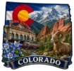 Sticker - State of Colorado