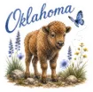 Sticker - Oklahoma Animal and Butterfly
